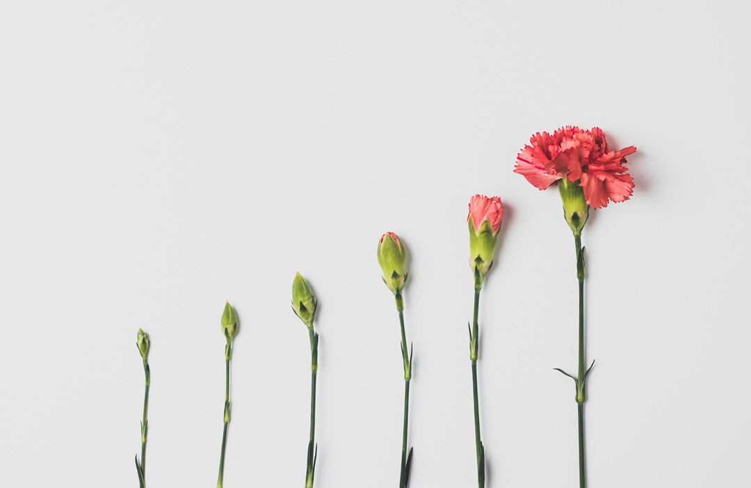 photo Unsplash_Edward Howell
