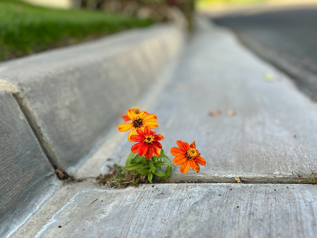 Jason Thompson_unsplash